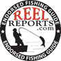 Reel Reports